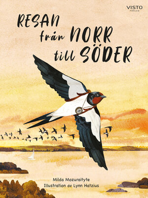 cover image of Resan från norr till söder